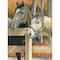 Royal & Langnickel® Buck's Pal Colour Pencil™ by Number Kit
